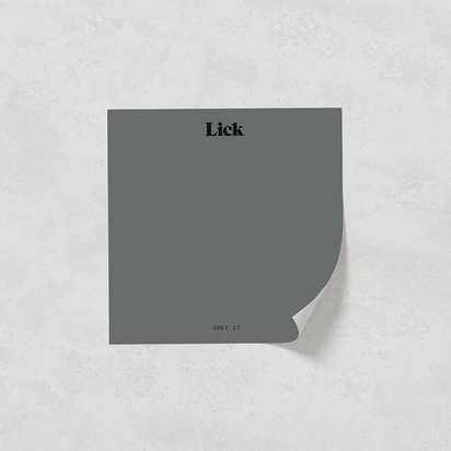 Grey 17: Dark Cool Grey - Paint Sample