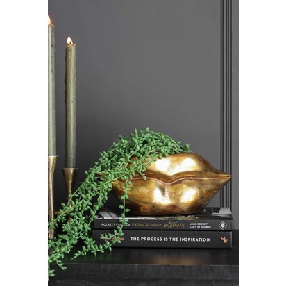 Gold Lips Short Stem Vase