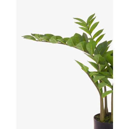 Floralsilk Artificial Zamiifolia Tree, H75cm, Green Green | H75 x W52 x D52cm