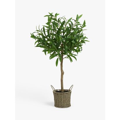 John Lewis Artificial Olive Tree in Wicker Basket, Natural/Green Natural/Green | H78 x Dia.46cm