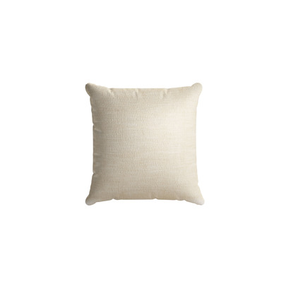 45x45cm Scatter Cushion in Chantilly Aquaclean Clever Chenille