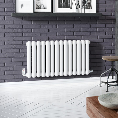 DQ Heating Cassius Column Style Mild Steel Horizontal Designer Radiator - White - 550 x 785mm