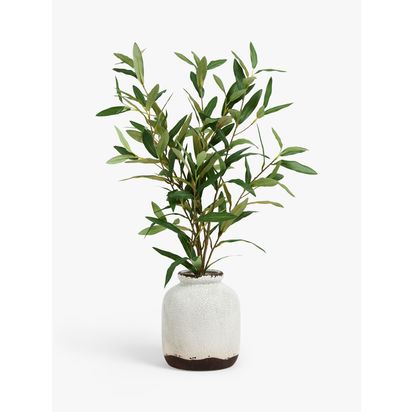 John Lewis Artificial Olive in Ceramic Vase, White/Green White/Green | H66 x Dia.30.5cm