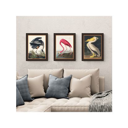 John Lewis John James Audubon Birds Framed Print, Set of 3, 47 x 37cm, Multi Multi | H47 x W37 x D2.5cm
