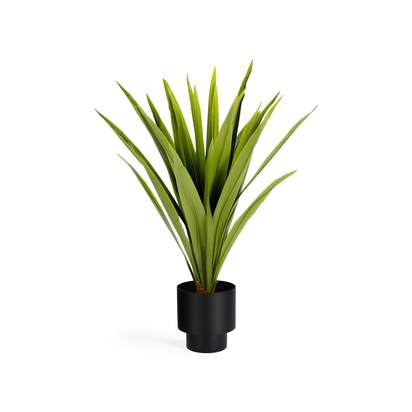 Yucca artificial plant