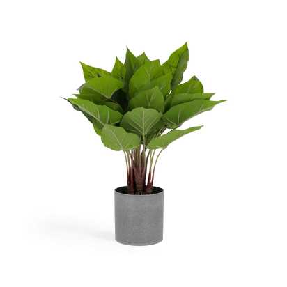 Anthurium artificial plant 50 cm