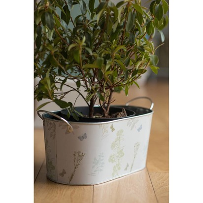 Open uri20240531 8231 ikbeoa?1717174884