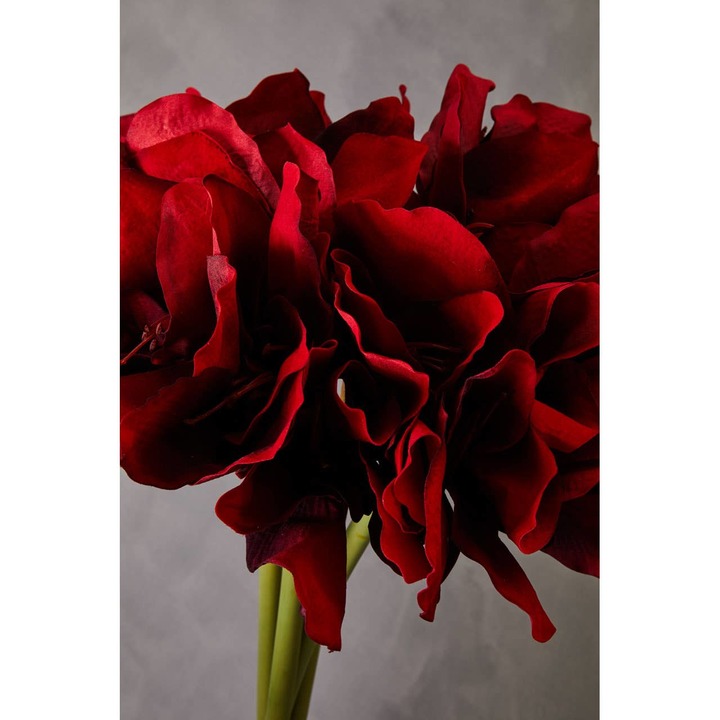 Open uri20240531 8231 1xh07u6?1717177730