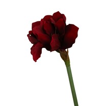 Open uri20240531 8231 17d4t6x?1717177731