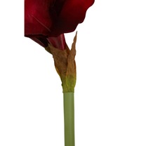 Open uri20240531 8231 1ujpoe2?1717177734