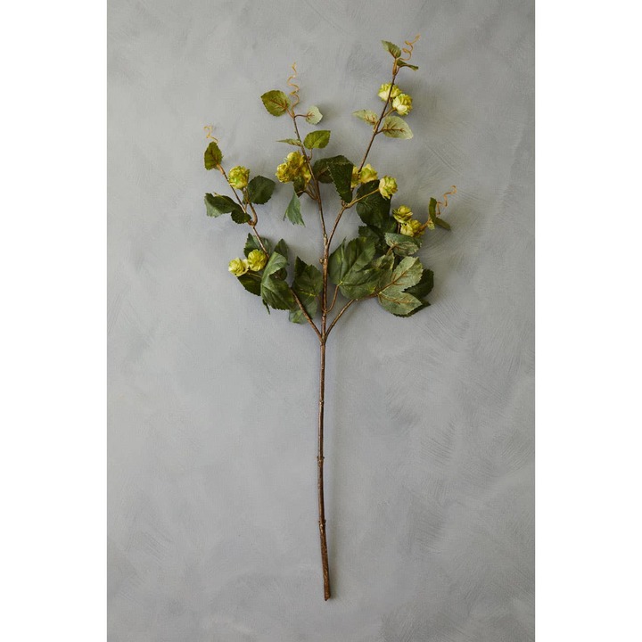 Open uri20240531 8231 1vdxvp7?1717177880