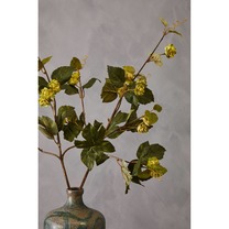 Open uri20240531 8231 1jcz56o?1717177882