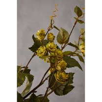 Open uri20240531 8231 1rs3hyd?1717177883