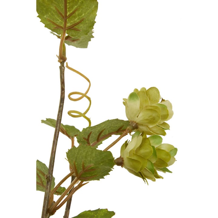 Open uri20240531 8231 s8dusm?1717177894