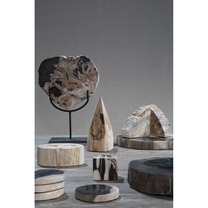 Open uri20240531 8231 tqy7rf?1717187987