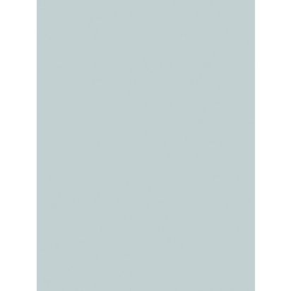 The Little Greene Paint Company Absolute Matt Emulsion Grey Blues Tester Pot Bone China Blue (325)