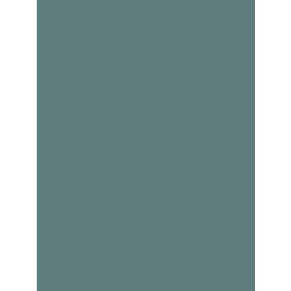 The Little Greene Paint Company Absolute Matt Emulsion Grey Blues Tester Pot Tea With Florence (310)