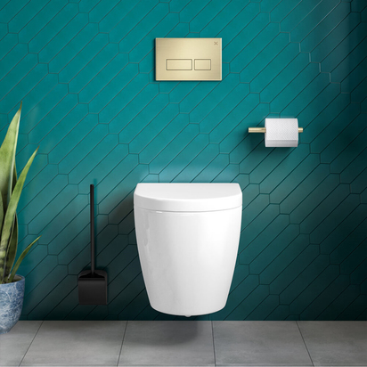 Crosswater MPRO Brushed Brass Dual Flush Plate