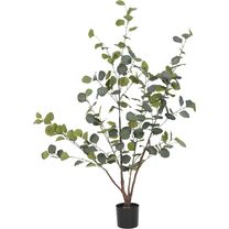 Open uri20240619 10565 7qist?1718818293