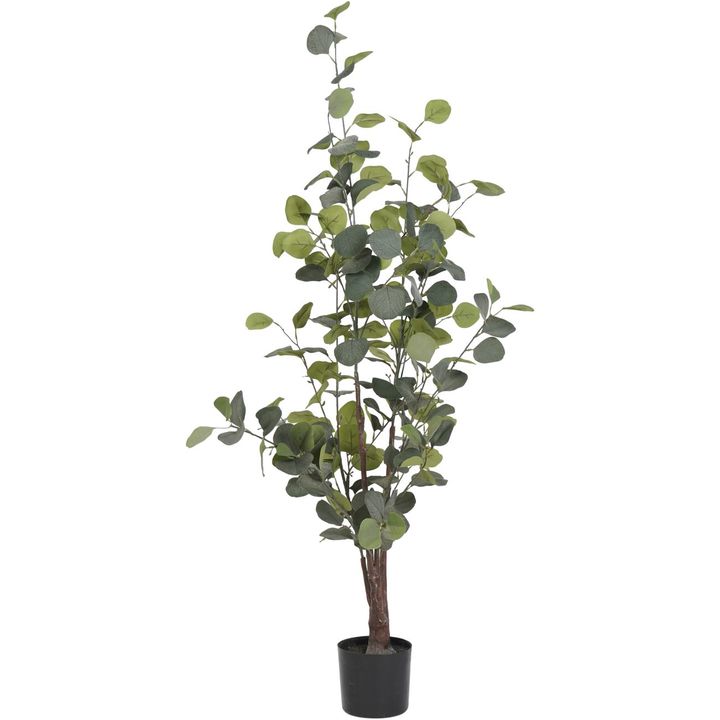 Open uri20240619 10565 16xtc9f?1718818294