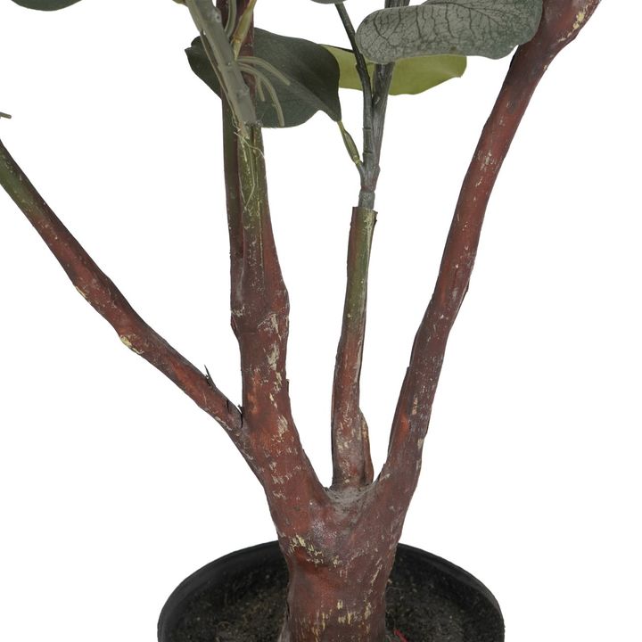 Open uri20240619 10565 bci7ka?1718818295