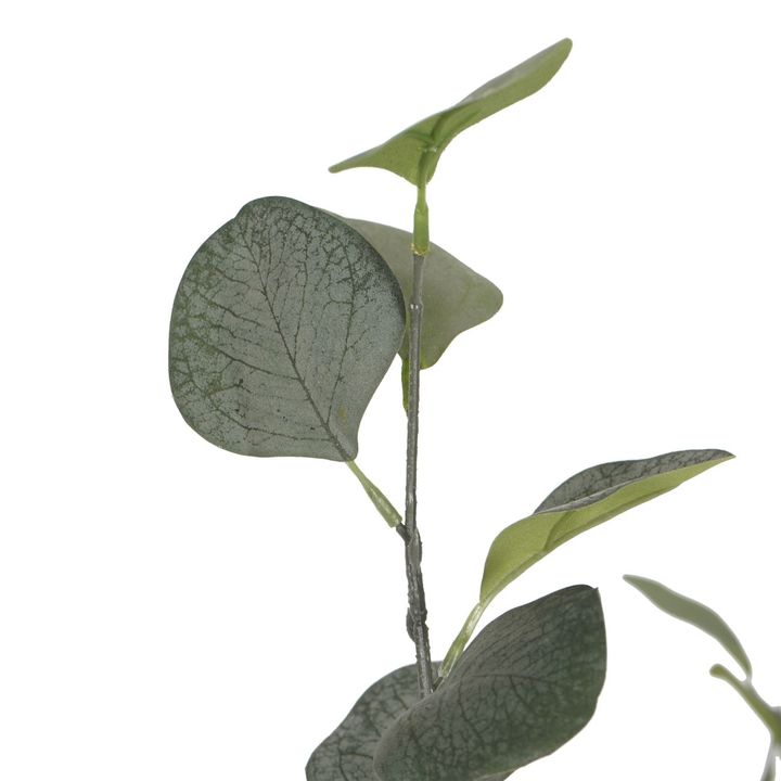 Open uri20240619 10565 18c3hnr?1718818298