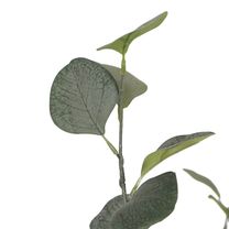 Open uri20240619 10565 18c3hnr?1718818298