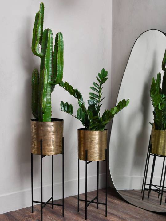 Open uri20240619 10565 1bqk6y8?1718820501