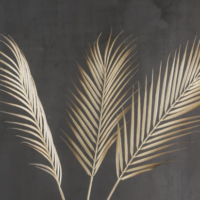 Open uri20240727 28731 ir3y1f?1722042353