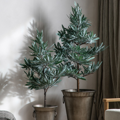 Eucalyptus Tree Dusky Green H1600mm LARGE