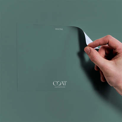 Adulting Sample - Peel & Stick