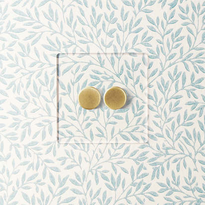 Lucian perspex two gang dimmer in clear perspex and aged brass