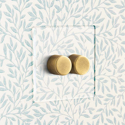 Lucian perspex two gang dimmer in clear perspex and aged brass