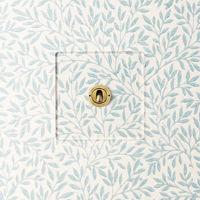 Lucian perspex one gang intermediate toggle switch in clear perspex and aged brass