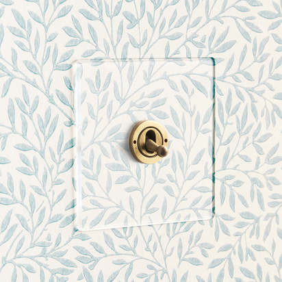 Lucian perspex one gang intermediate toggle switch in clear perspex and aged brass