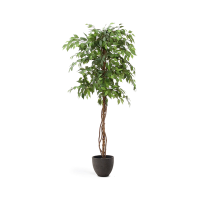 Artificial Ficus tree in black pot 180 cm