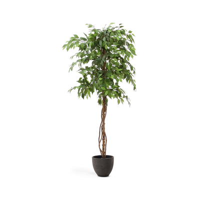 Artificial Ficus tree in black pot 180 cm