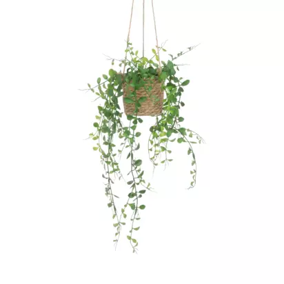 Floralsilk Artificial Hanging Plant in Rattan Pot, Green Green | H53 x W22 x D22cm