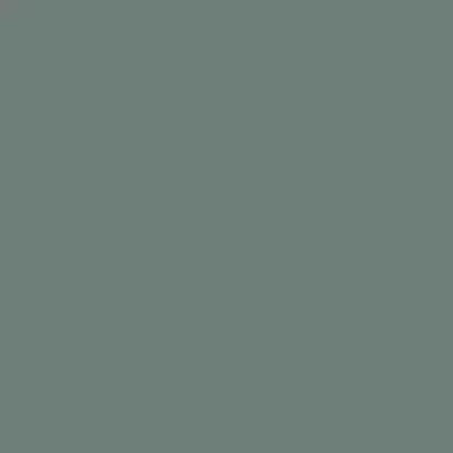 The Little Greene Paint Company Absolute Matt Emulsion, Strong Greens Livid (263) | Tester Pot 60ml