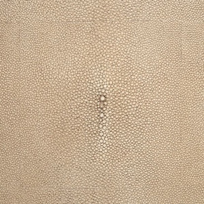 Open uri20250307 4656 1fd1wnh?1741309277