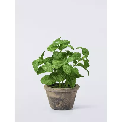 John Lewis Artificial Mint Plant in Rustic Ceramic Pot | 45x33x23