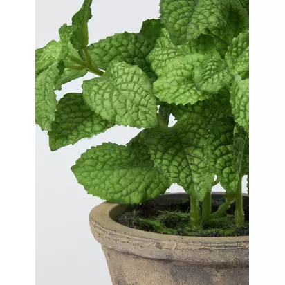 John Lewis Artificial Mint Plant in Rustic Ceramic Pot | 45x33x23