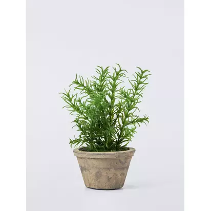 John Lewis Artificial Rosemary Plant in Rustic Ceramic Pot | 45x33x23