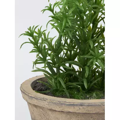 John Lewis Artificial Rosemary Plant in Rustic Ceramic Pot | 45x33x23