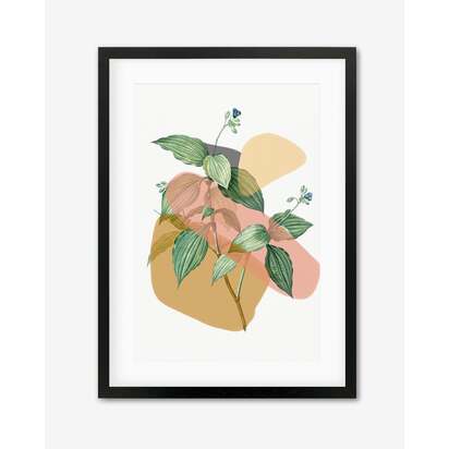 Botanical Vintage Terracotta Framed Art 33 x 43 cm Brown Frame