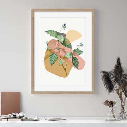 Botanical Vintage Terracotta Framed Art 33 x 43 cm Brown Frame