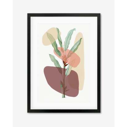 Botanical Illustration With Shapes Framed Art 33 x 43 cm Black Frame