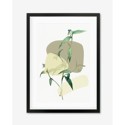 Vintage Plant With Shapes 2 Framed Art 33 x 43 cm Black Frame