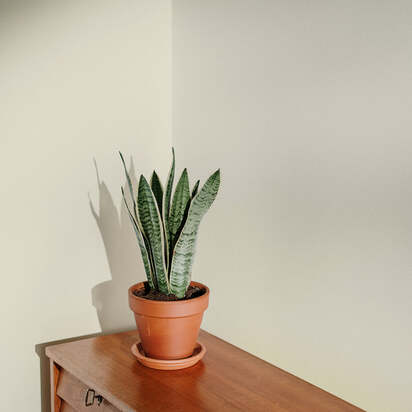 Jane Sample - Peel & Stick