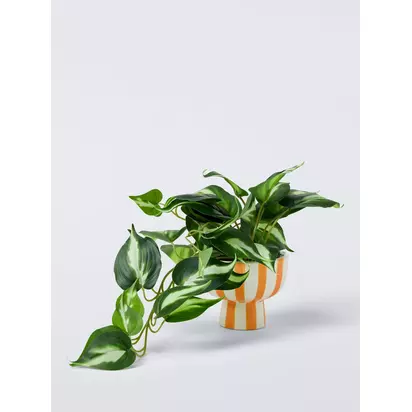 John Lewis Artificial Epipremnum Plant in Striped Ceramic Vase, Orange Orange | H21.60 x W31.80 x D31.80cm
